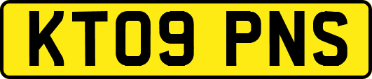 KT09PNS