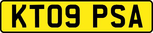 KT09PSA