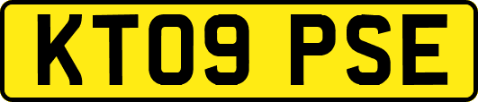 KT09PSE
