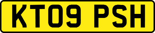KT09PSH