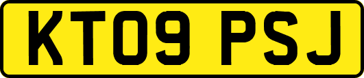 KT09PSJ