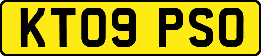 KT09PSO