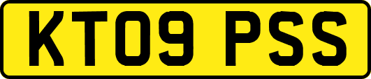 KT09PSS