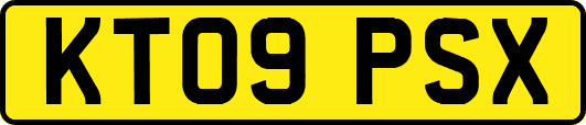 KT09PSX