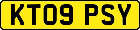 KT09PSY