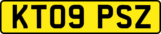 KT09PSZ