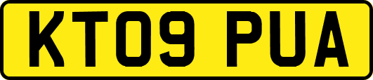 KT09PUA