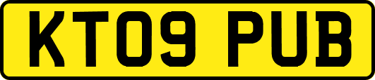 KT09PUB