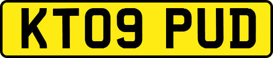 KT09PUD