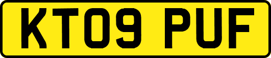 KT09PUF