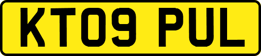 KT09PUL