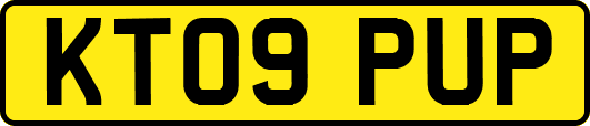 KT09PUP