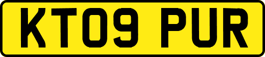KT09PUR