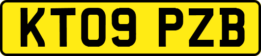 KT09PZB