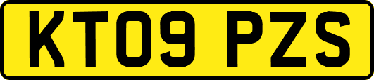 KT09PZS