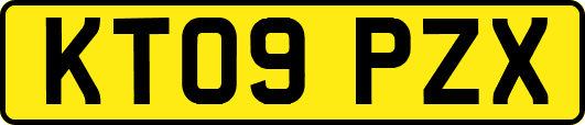 KT09PZX