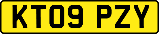 KT09PZY