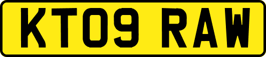 KT09RAW