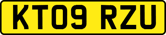 KT09RZU