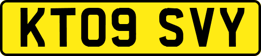 KT09SVY