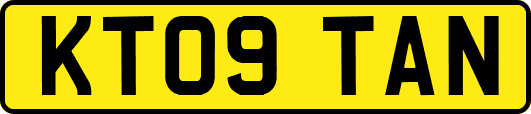 KT09TAN
