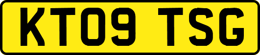 KT09TSG