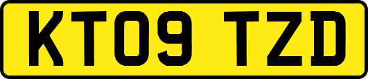 KT09TZD