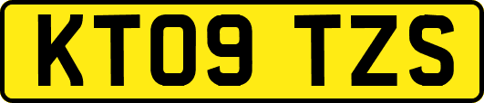KT09TZS