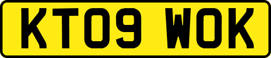 KT09WOK
