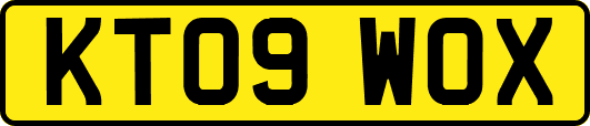 KT09WOX