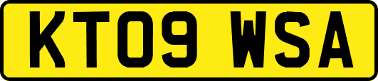 KT09WSA