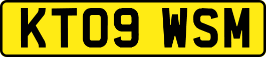 KT09WSM