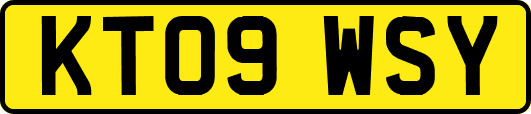 KT09WSY