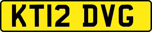 KT12DVG