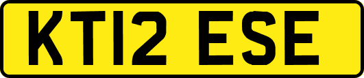 KT12ESE