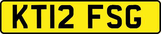 KT12FSG