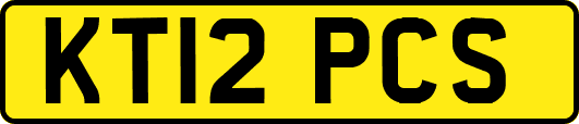 KT12PCS