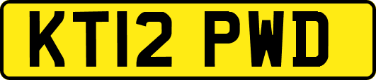 KT12PWD