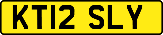 KT12SLY