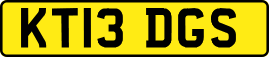 KT13DGS