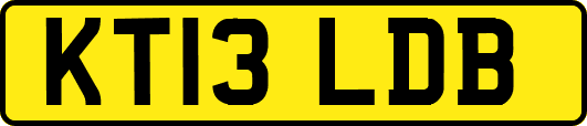 KT13LDB
