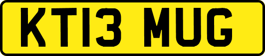 KT13MUG