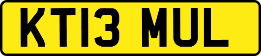 KT13MUL