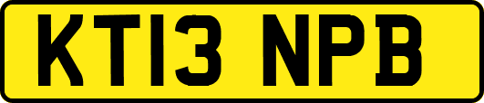 KT13NPB