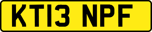 KT13NPF