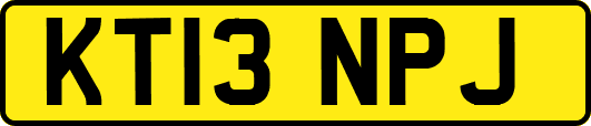 KT13NPJ
