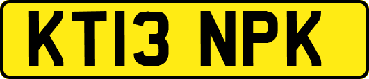 KT13NPK