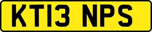 KT13NPS