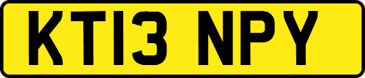 KT13NPY