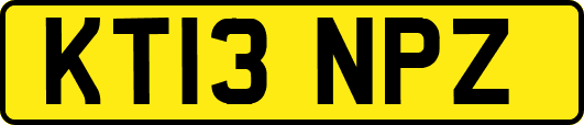 KT13NPZ